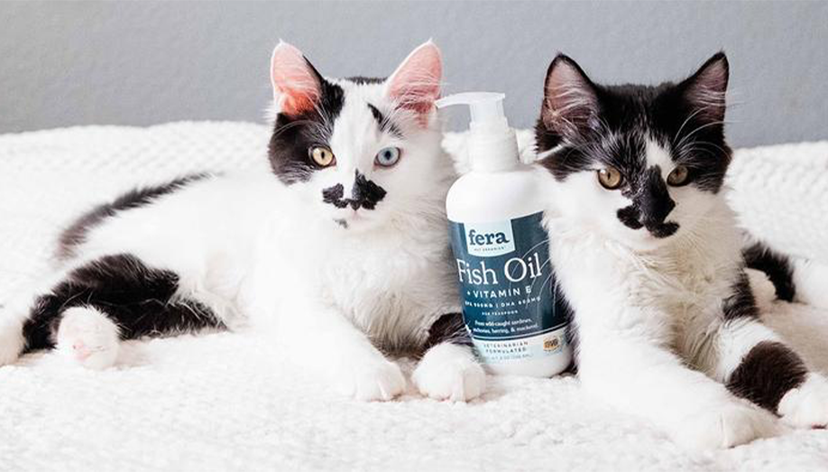 two black and white cats sitting with a Fera pet supplements product