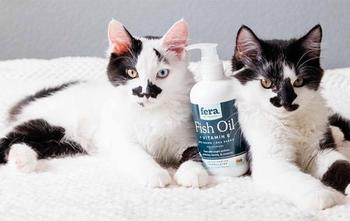 two black and white cats sitting with a Fera pet supplements product
